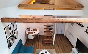 Modernes 1-Zimmer-Apartment mit Galerie-Schlafkoje im skandinavischen Stil